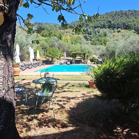 Agriturismo Poggio All'olmo * Greve in Chianti