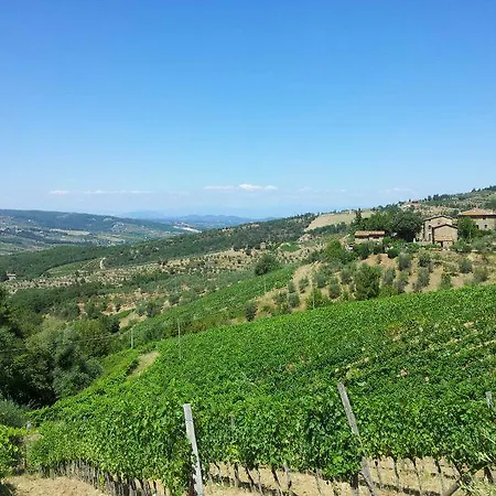 Agriturismo Poggio All'olmo