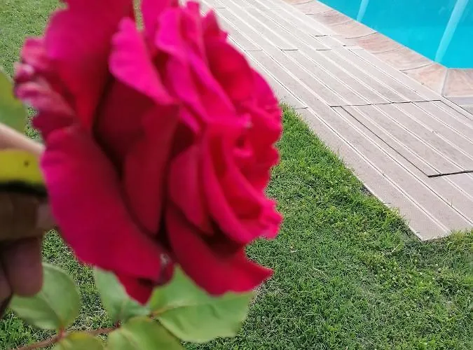 Agriturismo Poggio All'olmo