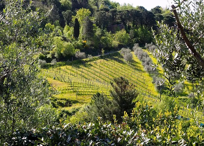 Alojamento de Turismo Rural Agriturismo Poggio All'olmo